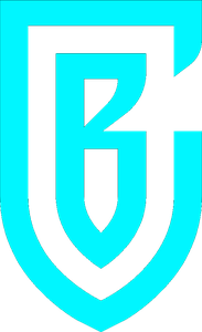 BetCity logo